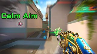 Calm Aim Crosshair 2024 Edition [upl. by Iad]