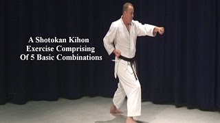 Shotokan Karate Video Kihon Spinning combination [upl. by Terrilyn]