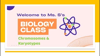 Chromosomes amp Karyotypes [upl. by Areis853]