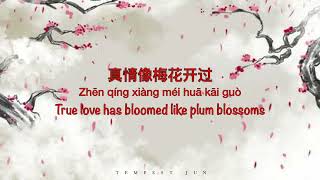 一剪梅 Yi Jian Mei 费玉清 Fei YuChing Fei Yu Qing  Chinese Pinyin amp English Translation [upl. by Canon]