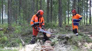 Kuinka kauan kestävät Husqvarna 540 i XP ja Stihl MSA 220C sahojen akut  Metsälehti [upl. by Cos]