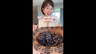 Homemade grape wine 🍷 Let’s make some 2 ingredients grape wine 🍇  sugar [upl. by Redep243]