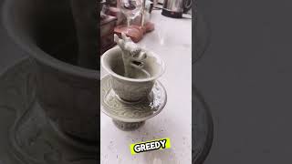 The magic of the greedy cup Overflow and it drains from the bottomshortsfeed shortsviral [upl. by Cortney483]