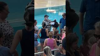 Don’t touch the hair 🤣🥊 Tom mime Seaworld laughs seaworldmime funny alwayslaughing [upl. by Onitram]