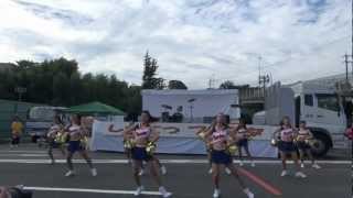 チア GOLD ROWDIES No2 しずてつフェスタ2012 [upl. by Claudio540]