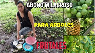 Como hacer el MEJOR ABONO CASERO te sirve para todo árbol frutal [upl. by Yerrot]