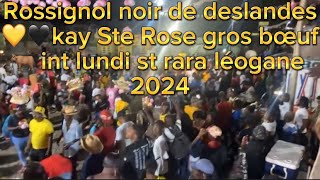 Rossignol noir de deslandes 💛🖤kay Ste Rose gros bœuf 🐂 int lundi st rara léogane 2024 [upl. by Colyer]