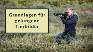 Tiere richtig fotografieren 5 essentielle Tipps  egal welche Kamera und welches Objektiv [upl. by Nahc]