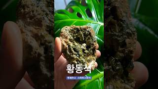 황동석 chalcopyrite 루페우스 천연원석 [upl. by Agathe]