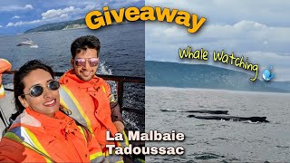 Whale watching at La Malbaie amp Tadoussac  Exploring Charlevoix Quebec [upl. by Toblat]