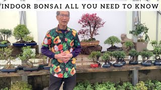 Indoor Bonsai All You Need To Know [upl. by Yznyl972]