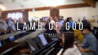 Lamb of God  Matt Maher cover [upl. by Huang389]