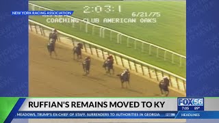 Ruffians remains relocated from New Yorks Belmont Park to Claiborne Farm in Kentucky [upl. by Mal]