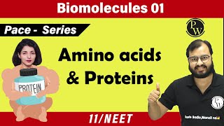 Biomolecules 01  Amino Acids and Proteins  11  NEET  PACE Series [upl. by Eatton731]