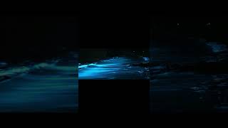 Bioluminescence occurrence at Jarvis Bay New South Wales Australia shorts [upl. by Cully]