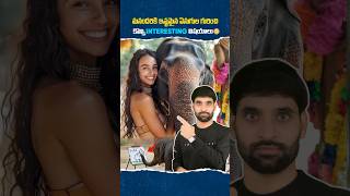 Elephants గురించి మీకు తెలియని కొన్ని విషయాలు 😳 elephant elephantvideo shortsfeed ismartshiva [upl. by Ssegrub860]