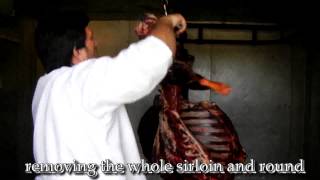 Processing a Bull Nilgai for a Wounded Warrior [upl. by Hiro]