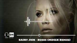 SAINt JHN  Roses MDILN Remix [upl. by Ahseikal]