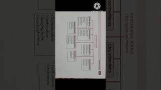 4 August 2024 Adrenergic Drug Sympathomimetics With preparation shortvideo shorts viralvideo [upl. by Consalve]