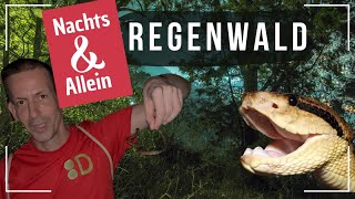 Killerschlange im Regenwald getroffen 2024 [upl. by Kristen760]