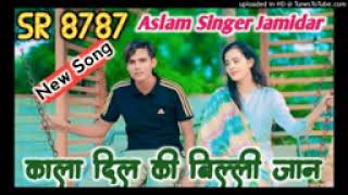 SR 8787 Aslam Singer Jamidar  New Audio Video Song  SM Mewati 🙏 [upl. by Erline13]