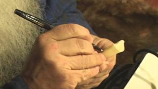 Wingbone Turkey Call 5 of 7 Adding Scrimshaw [upl. by Madison]