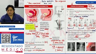 REPASO  CIRUGÍA PEDIÁTRICA [upl. by Tnemelc27]