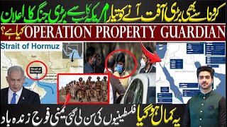 What is Operation Property Guardian   Detail by Syed Ali Haider [upl. by Cornelia]