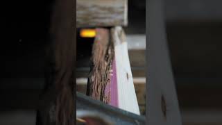 Sharp drawknife vs crisp juniper bow stave [upl. by Coppock]