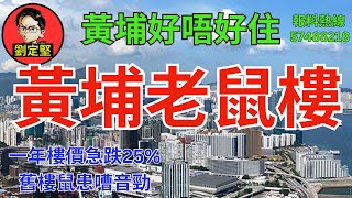 黃埔好唔好住。香港地系列28 [upl. by Adham]