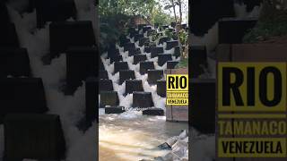 💦 Río Tamanaco Venezuela shorts valledelapascua ElBostero travelvlog erikmcvlogger [upl. by Werby988]