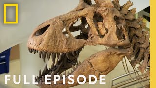 Secrets of the Deadly TRex King of the Dinosaurs Full Episode  Lost Beasts Unearthed [upl. by Nollahs]