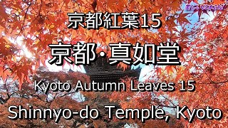 京都紅葉15 京都・真如堂しんにょどう 紅葉 Shinnyodo Temple autumn leaves [upl. by Bull]