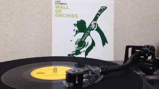 Wall Of Orchids  Come Back To Me 7inch [upl. by Ronoh962]