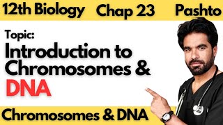 Chromosomes and DNA  Class 12 biology  Chapter 23 in pashto [upl. by Naitsirhk]