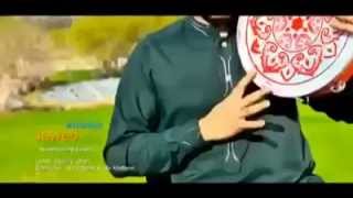 Javed Amirkhel song 2014 worikhmani janan [upl. by Nhguaved]