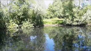 Walk around the Lammas Lakes in Staines Surrey UK [upl. by Aicemaj]