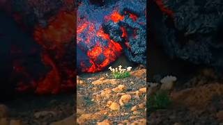 lava flow in the Earth nature travel trending lava [upl. by Odareg]