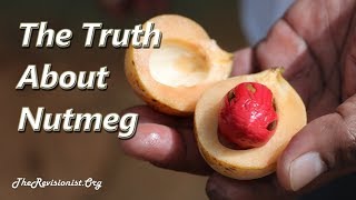 Nutmeg – An Overview of a Psychoactive Spice with Therapeutic Properties [upl. by Ahsinit]