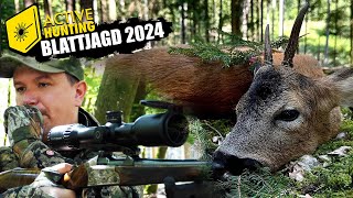 Blattjagd 2024 I Sie springen wieder I Zwei Böcke liegen [upl. by Haldane37]