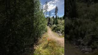 Trysil playboicarti mtb [upl. by Javler]