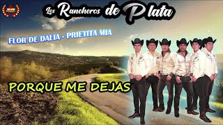 Los Rancheros de Plata  Flor de Dalia  Prietita Mia Mix Video con Letra [upl. by Ulrike]