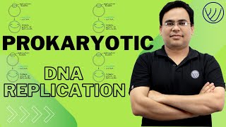 DNA REPLICATION IN PROKARYOTES  INITIATION ELONGATION TERMINATION  CSIR NET LIFE SCIENCE [upl. by Drofnats]