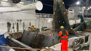 Atlantic Viking trawling the Barents Sea [upl. by Dyan]