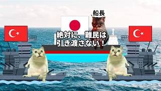 【歴史に残る絆】日本人が知らない超親日国トップ3！猫マニ 猫ミーム [upl. by Leikeze]