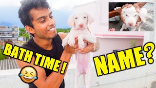 OUR PUPPYS FIRST BATH 🥰🥺  FIXED NAME FOR HER ‼️ VelBros Tamil [upl. by Saundra21]