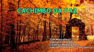 Videokê  Cachimbo Da Paz  Gabriel O Pensador part Lulu Santos  16177 [upl. by Notaek]