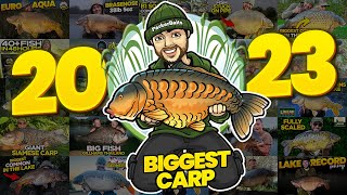 The Biggest Carp Catches Of 2023  JawDropping PBs  Insane Lake Records  150lb [upl. by Notlaw]