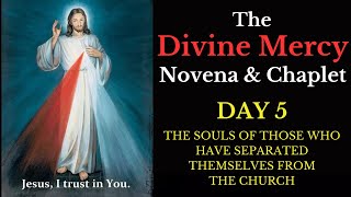 Divine Mercy Novena amp Chaplet  Day 5 [upl. by Pren]