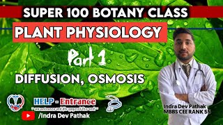 Plant Physiology part 1 DiffusionOsmosis  Water relation  plasmolysisImbibition  Absorption [upl. by Grados188]